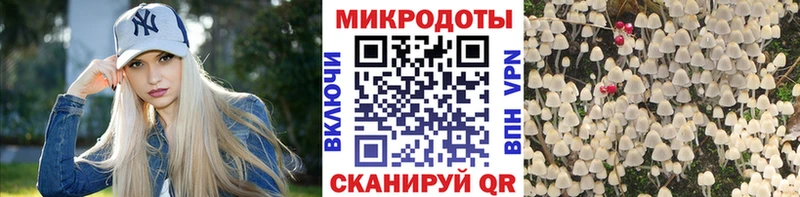Псилоцибиновые грибы Psilocybine cubensis  кракен ССЫЛКА  Южно-Сахалинск 