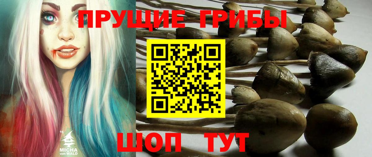 Южно-Сахалинск  Псилоцибиновые грибы Psilocybe  Галлюциногенные грибы MAGIC MUSHROOMS  Вход с VPN 